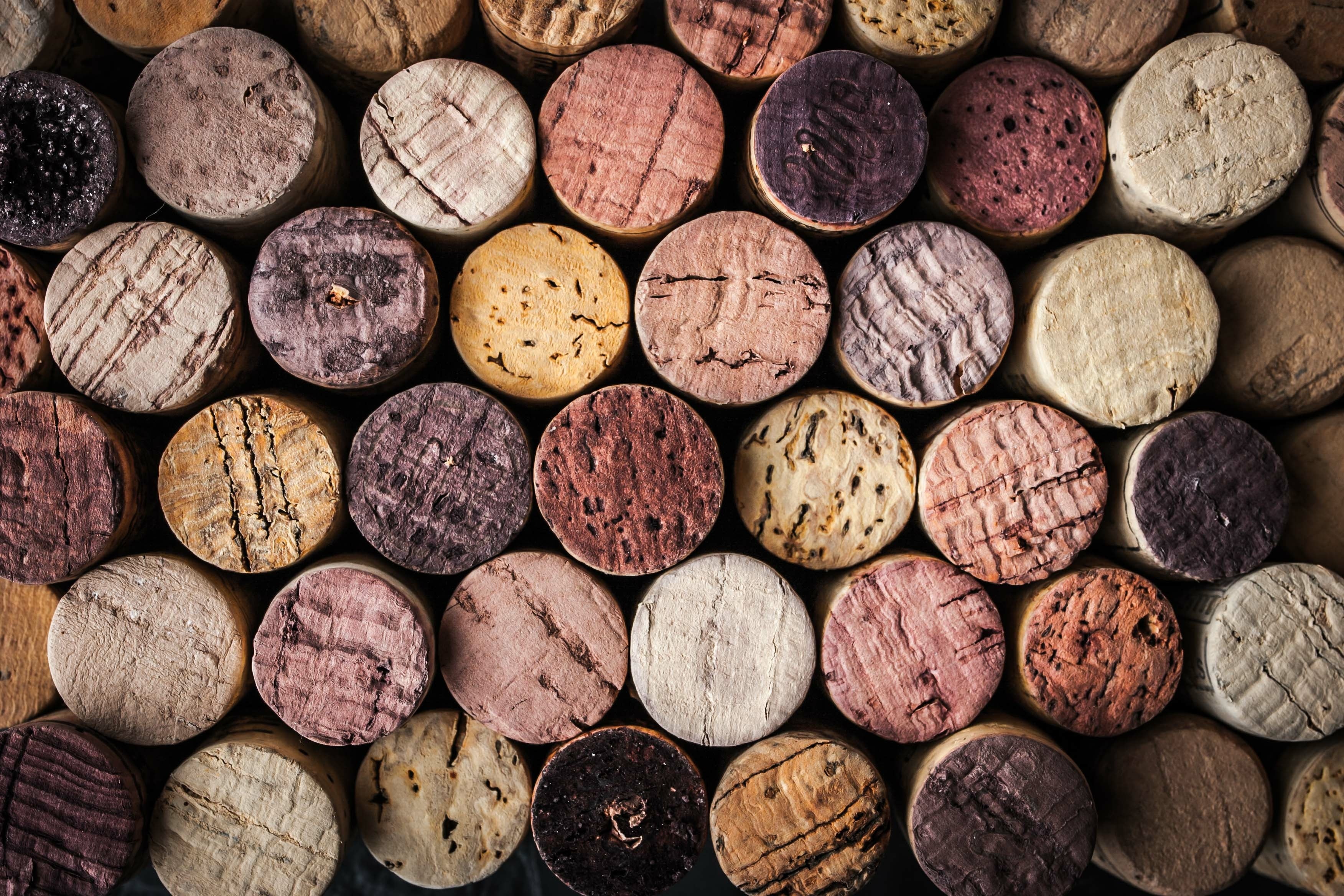 All About Resealing Corks, Plus 5 Fun Cork Facts
